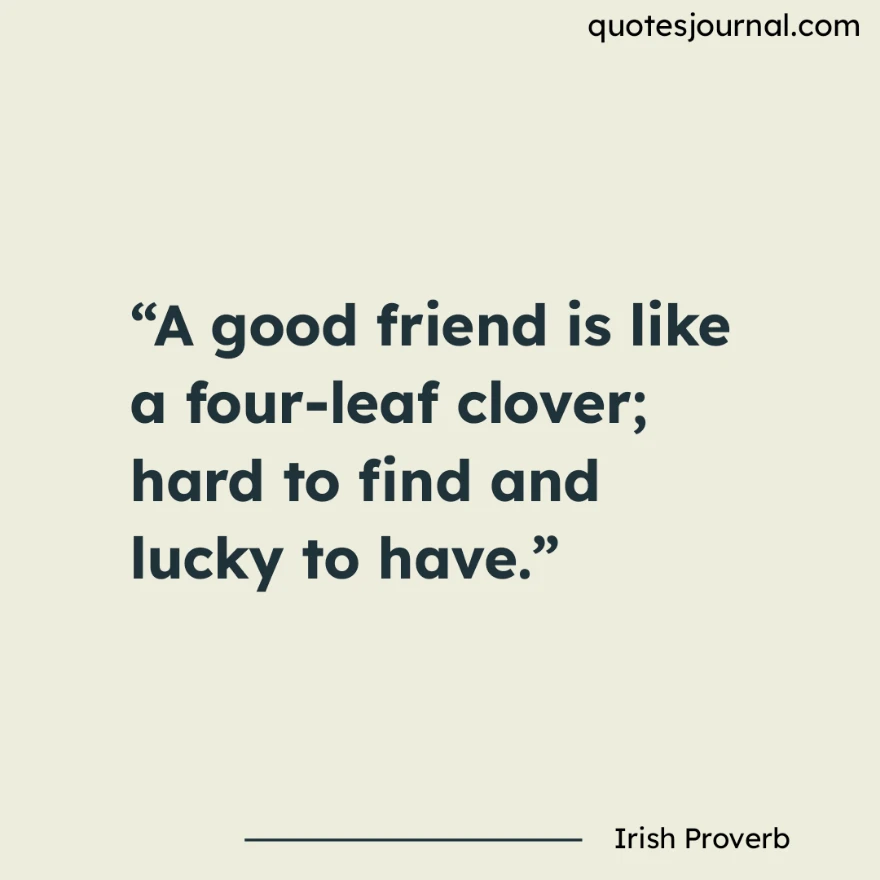 Friendship quotes