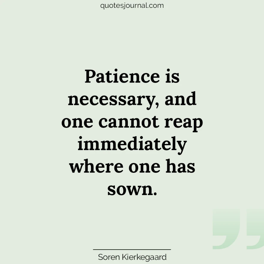 Patience quotes