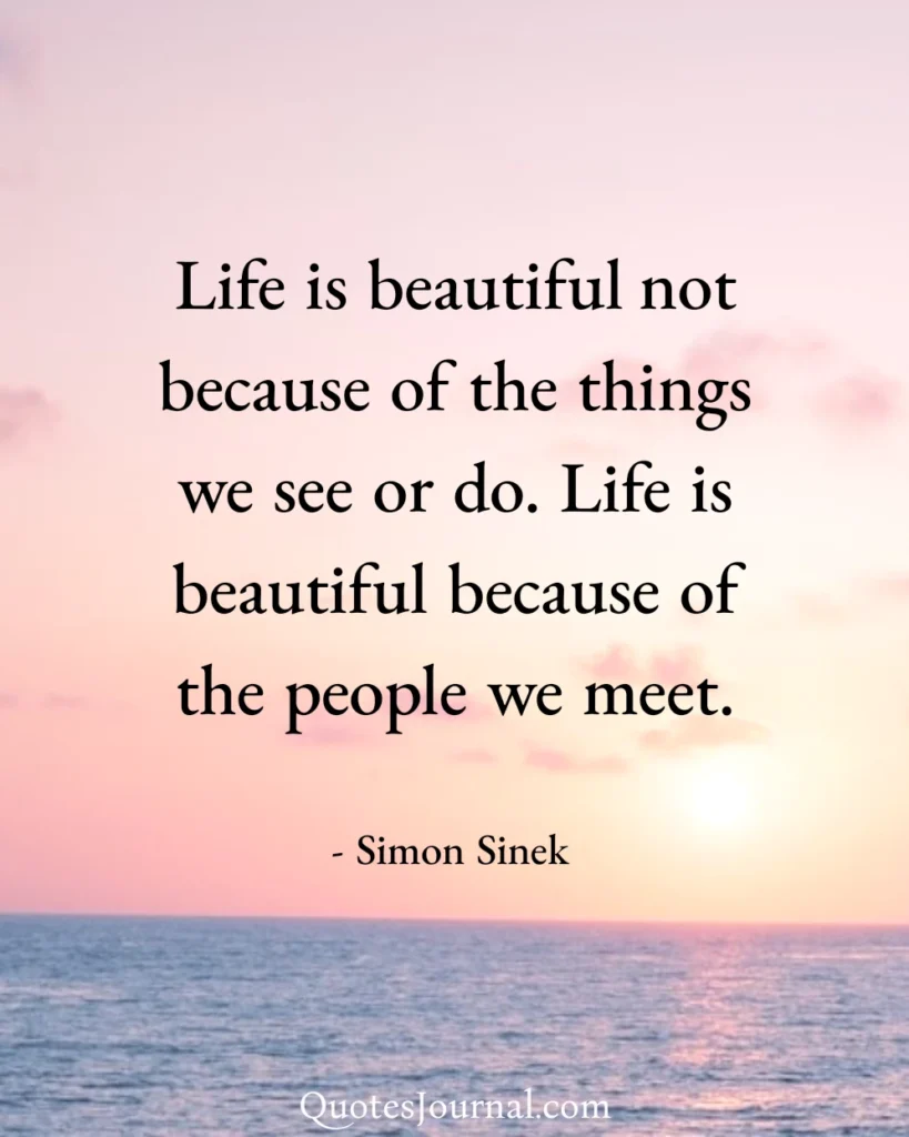 Simon Sinek quotes