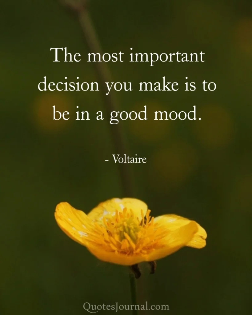 Voltaire quotes