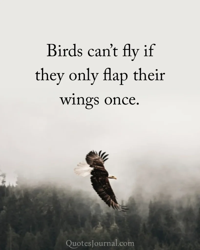 Consistency quotes